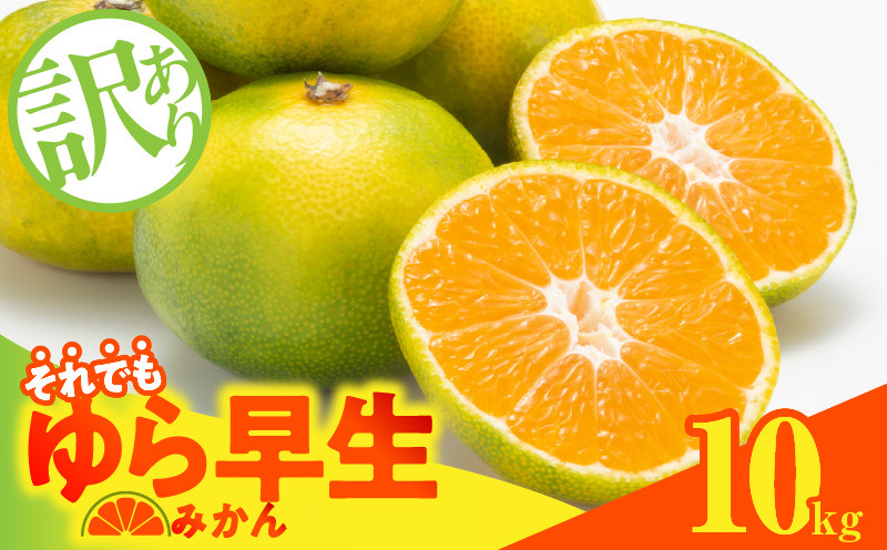
                  【2026先行予約】訳あり ゆら早生 みかん 箱込 10kg ( 内容量 9.2kg ) サイズミックス 有田みかん 和歌山県産_MK1066
                