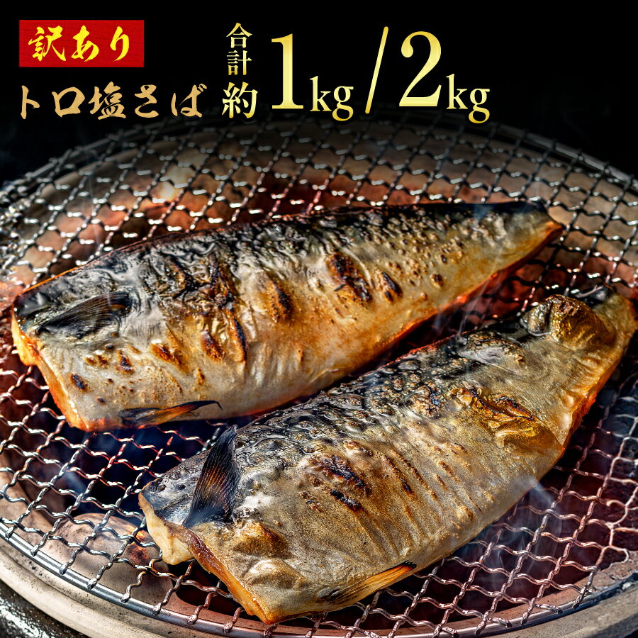 訳あり トロ 塩さば 3.5kg 大盛り 千葉 銚子 塩鯖 おかず おつまみ 酒 あて 海鮮 魚 飯田商店 ※北海道、沖縄、離島への配送不可