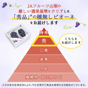 ハウス種無しピオーネ(3～4房)/80【配送不可地域：離島】【1299403】