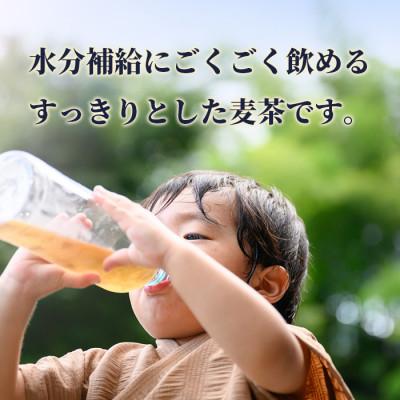 ふるさと納税 鹿島市 サンレイ『佐賀の麦茶』ペットボトル500ml×24本(香料添加物不使用・カフェインゼロ) |  | 03