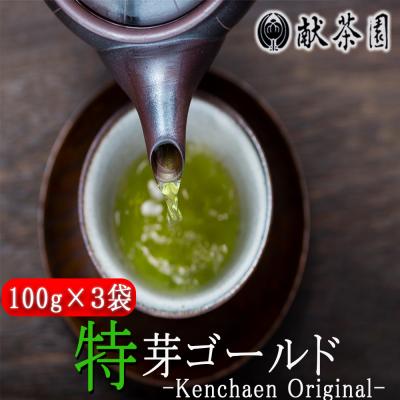 ふるさと納税 小郡市 献茶園 オリジナル 深蒸し茶 特芽ゴールド (100g×3袋) 八女茶[No5354-0874]
