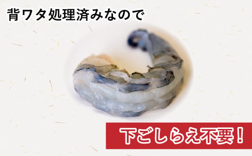  【 6ヶ月 定期便 】 むき えび ブラックタイガー 1.2kg x 6回 背ワタなし 保水剤無添加 冷凍 高級 下処理済 エビ 海老 人気 殻 むき 時短 特大 大型 大容量 無保水 【定期便6回