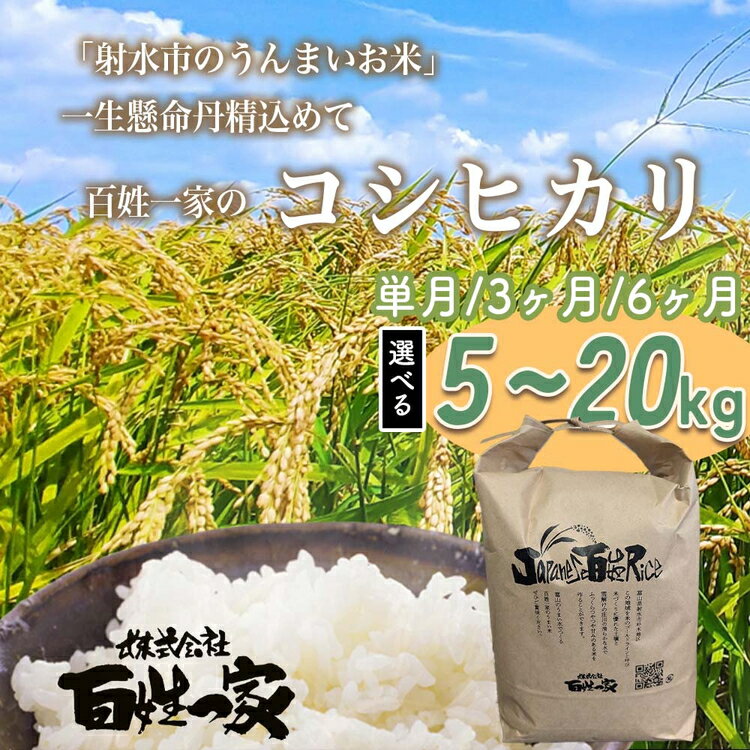 【ふるさと納税】＼内容量・配送回数が選べる／【射水市】【射水の美味しいお米】R8年産 百姓一家のコシヒカリ 5～20kg【精米】| お米 米 こめ コメ こしひかり コシヒカリ ブランド米 銘柄米 白米 新米 富山県産 射水市産 北陸 人気 ランキング おすすめ ※2026年10月～発送