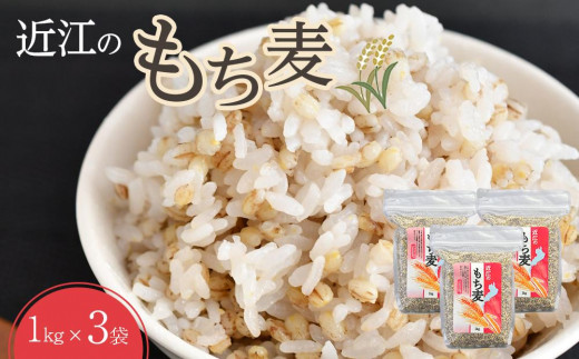 
                  近江のもち麦１kg３袋｜野洲市 もち麦 滋賀産 健康食材 ダイエット ビタミン ミネラル 便秘解消 腸内環境 美容 健康志向 料理 レシピ お取り寄せ 通販 ふるさと納税 ｜
                