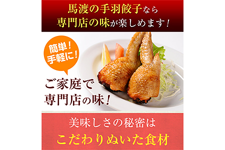 TV番組で餃子日本一獲得！＜餃子の馬渡馬渡のもっちり餃子40個と手羽餃子9本セット＞翌々月末迄に順次出荷【c014_mw_x3】 餃子の馬渡 ぎょうざ ギョウザ 手羽先餃子 