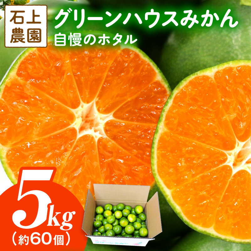 【ふるさと納税】石上農園自慢のホタル（グリーンハウスミカン）5kg_K011-003 果物 フルーツ デザート スイーツ みかん おすそ分け 果汁 果肉 ふるさと プレゼント 贈り物 贈答 グルメ ギフト お取り寄せ 特産品 おすすめ 宮崎県 串間市 送料無料