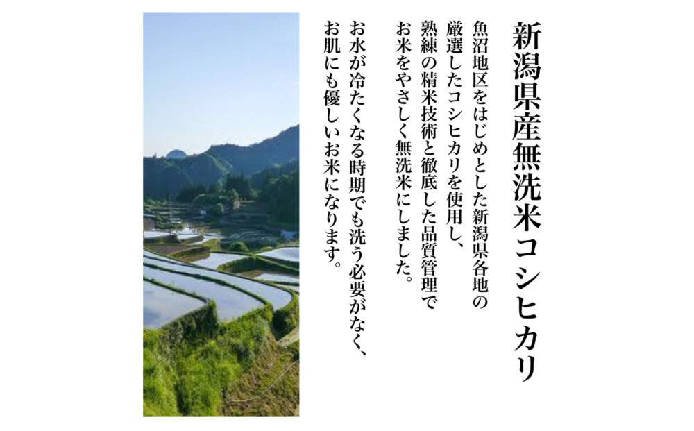 【令和8年産新米 定期便・先行予約】新潟県産こしひかり 無洗米 真空パック 900g×6袋　全3回
