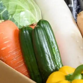 新鮮野菜のお届けによる見守りサービス（2ヶ月4回お届け）【兵庫県 高砂市】