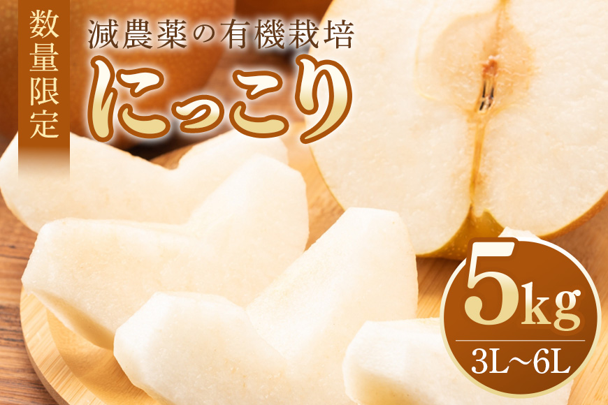 にっこり 5kg 3L～6L 7～14玉 梨 なし ナシ 果物 フルーツ 国産 数量限定 先行予約 【10月1日～11月末発送予定】 70-O