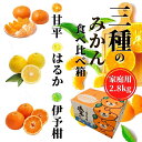 【ふるさと納税】【三種のみかん食べ比べ箱】甘平・はるか・宮内伊予柑 （家庭用）約2.8kg　＜2025年2月頃発送＞ | 愛媛 みかん 先行予約 蜜柑 柑橘 果物 くだもの フルーツ お取り寄せ グルメ 期間限定 数量限定 人気 おすすめ 愛媛県 松山市