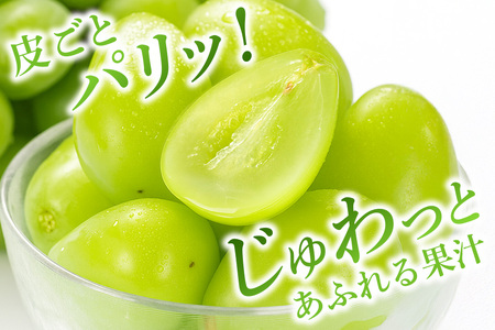 【2026年先行予約】石岡市産 シャインマスカット 700～750g 2房 果物 フルーツ くだもの 茨城県 石岡市【FN-Limited-SP】A38-003　　