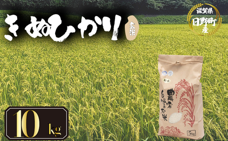 【先行予約】令和8年産 新米 キヌヒカリ 10kg 玄米  米 【KW018】 近江米