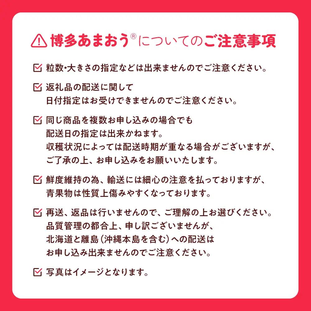 DH005.【あまおうが大好きなアナタへ】あまおう定期便（全4回）【北海道・沖縄・離島へ配送不可】【あまおう】