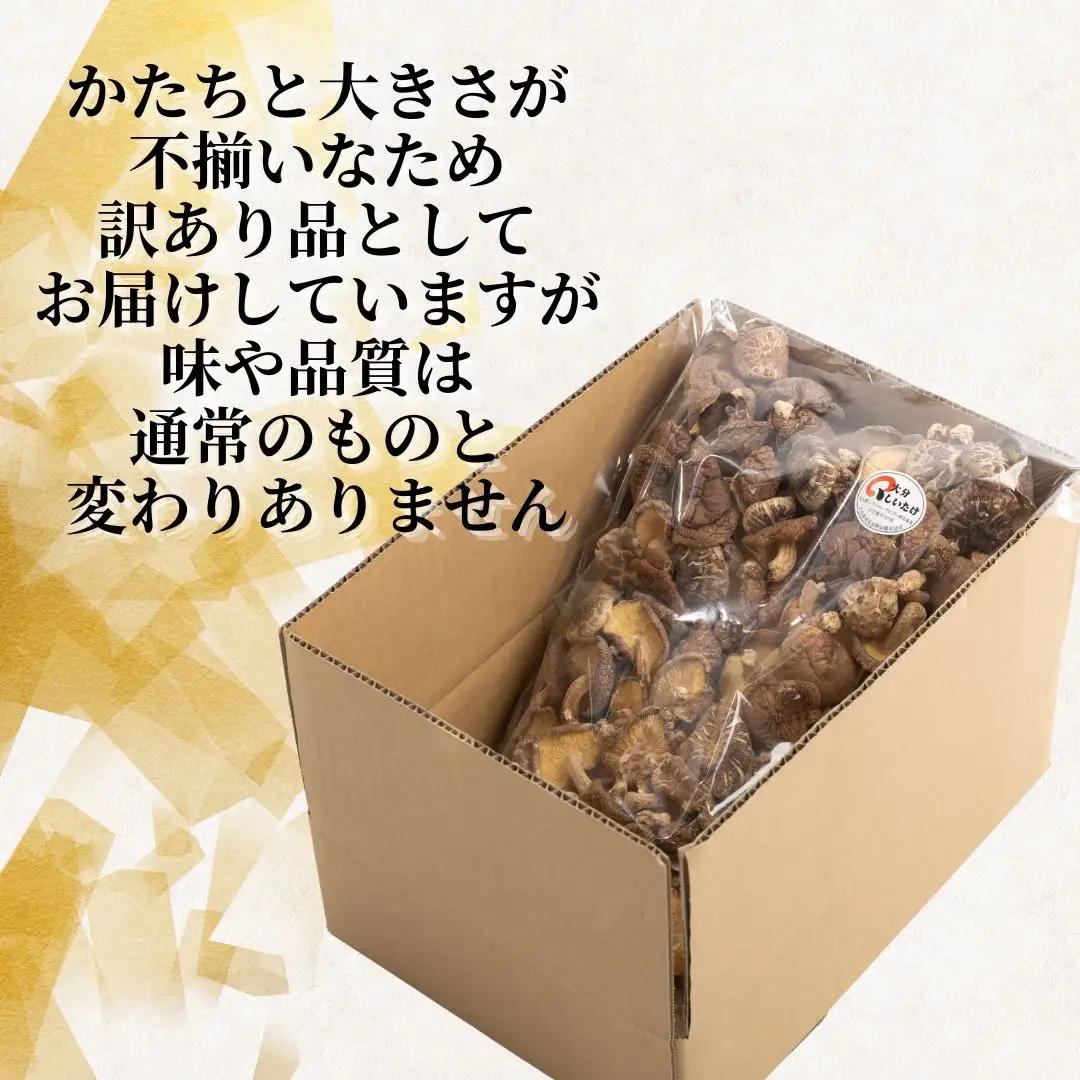 【椎茸訳あり】 津久見産不揃い椎茸 100g×5袋 | 津久見市
