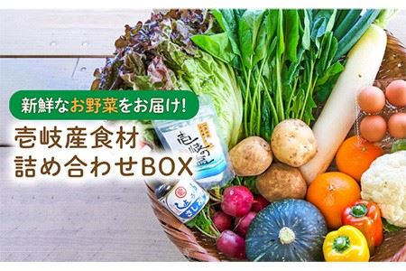 壱岐産食材詰め合わせBOX「野菜」 [JBF009] 野菜 詰め合わせ セット 旬 23000 23000円 冷蔵配送 九州