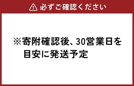 綾鷹 茶葉のあまみ 2L PET【コカ・コーラ】ペットボトル 2ケース(12本)セット お茶 緑茶 日本茶 茶葉 あまみ 送料無料