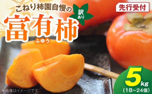 【先行受付】 訳あり 富有柿 5kg こねり柿園自慢の富有柿 KNR0808
