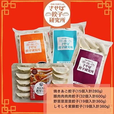 ふるさと納税 佐世保市 【発送月固定定期便】させぼ餃子研究所 させぼ餃子ヘルシーセット全4回 |  | 01