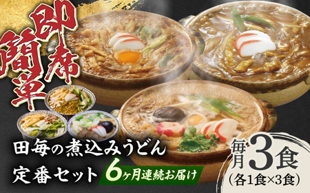うどん 【6回定期便】田毎の煮込みうどん定番セット [ANFP011] うどん