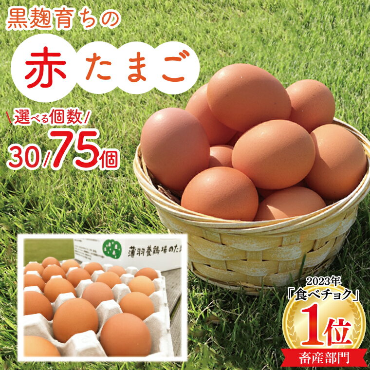 【ふるさと納税】＼選べる 大容量／ 黒麹育ちの赤たまご 30個 75個 ｜栃木県 益子町 ふるさと納税 たまご 卵 タマゴ 赤たまご 人気 濃厚 食べチョク(BC007-8)