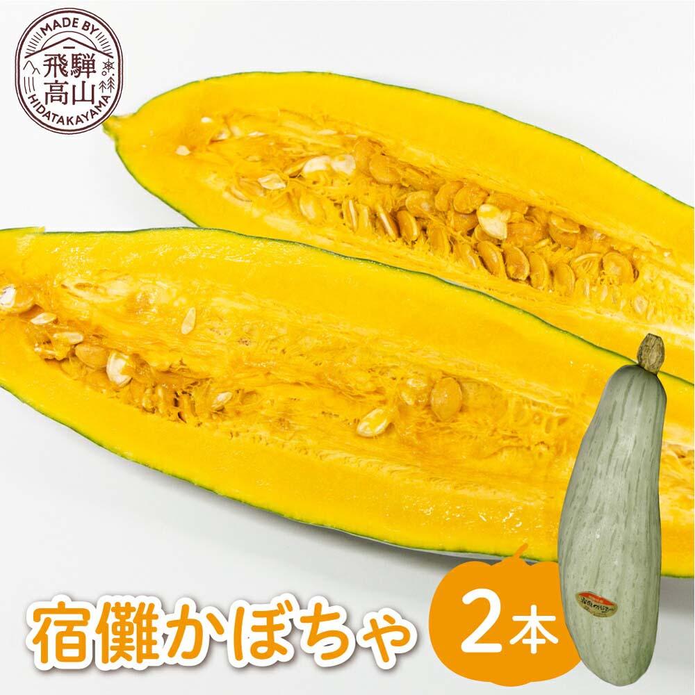 【ふるさと納税】【数量限定】2026年 先行予約（9月頃より発送開始予定） 宿儺かぼちゃ 2本 | 南瓜 カボチャ 飛騨野菜 飛騨の特産品 野菜 数量限定 期間限定 飛騨高山 宿儺さま KA003