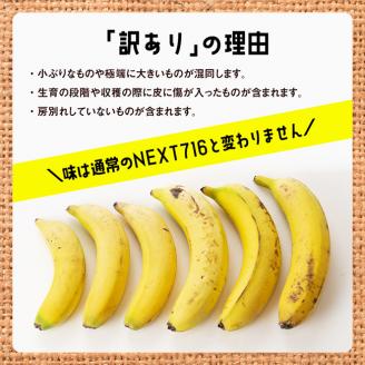 【定期便】【訳あり】国産バナナ1kg　6ヶ月定期便【国産 バナナ 無農薬 フルーツ 果物 デザート 朝食 スムージー 川南町 全6回】[F5804]