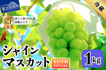 【2025年先行予約】山梨県産 シャインマスカット 約1kg(2房) シャインマスカット ぶどう 山梨県産 フルーツ 果物 先行予約 産地直送 数量限定 山梨 富士吉田