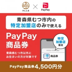 青森県むつ市　PayPay商品券(4,500円分)※地域内の一部の加盟店のみで利用可