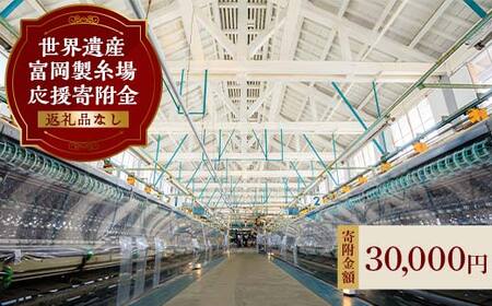 ＼世界遺産!!／ 富岡製糸場 応援寄附金 30,000円分（返礼品なし） F20E-947