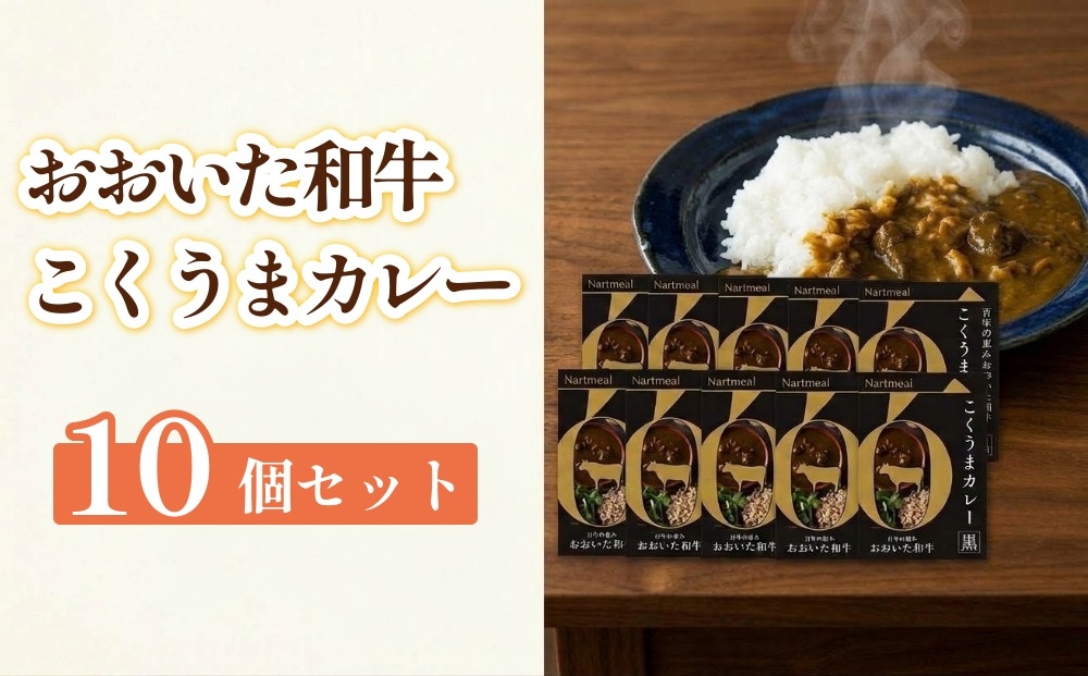 
                  百年の恵み おおいた和牛こくうまカレー(黒) 10個セット
                