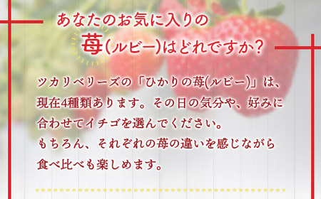 E014 ひかりの苺 （ルビー）4品種セット 1kg 2026年1月から4品種そろい次第順次発送 1000g やよいひめ おおきみ おいCベリー もういっこ イチゴ いちご 4パック 詰め合わせ 食べ