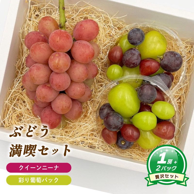 【8月下旬頃から発送】 クイーンニーナ + 彩り葡萄パック 約550g ( 大1房 ) 彩り葡萄パック 約270g ( 2パック ) | ぶどう クイーンニーナ 種なし 大粒 数量限定 愛媛県産 松山市