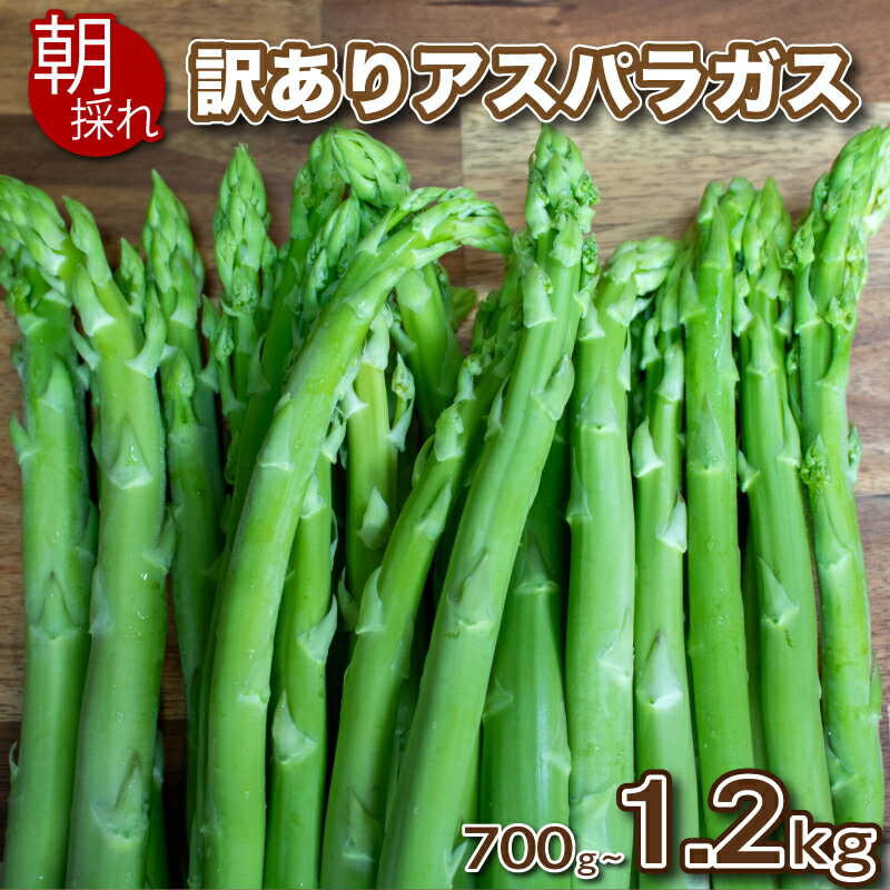 【ふるさと納税】 訳あり アスパラガス B品 700g~1.2kg 朝採れ 大容量 アスパラ S~3L 有機肥料使用 サイズ混合 セット SDGs フードロス 食品ロス お届け月 規格外 野菜 新鮮 夕飯 おかず お弁当 新鮮アスパラ 選べる 容量 下関 山口