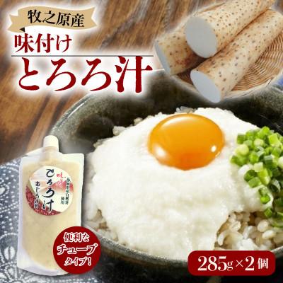 ふるさと納税 牧之原市 味付けとろろ汁【チューブタイプ】285g×2パック