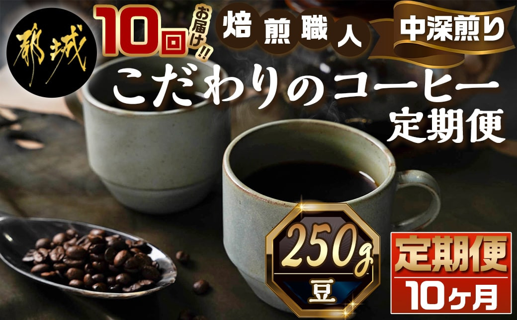 
10回お届け!焙煎職人こだわりのコーヒー定期便【豆】250g 小分けパック(ジッパー・バルブ付) ※中深煎り※_TLA10-3302_(都城市) コーヒー 焙煎 豆 ジッパー バルブ付 250g
