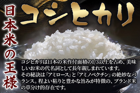 【令和7年産・玄米】宮城県栗原市産 コシヒカリ 20kg (10kg×2袋)