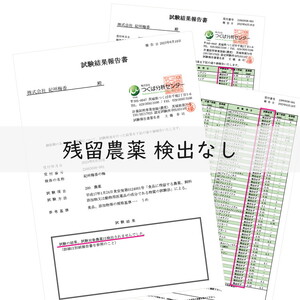 梅干し 無農薬、無添加の訳あり減塩つぶれ梅1kg（500g×2）塩分3％ ｜ 和歌山 みなべ町 梅干し ウメ 梅 梅干 南高梅 減塩