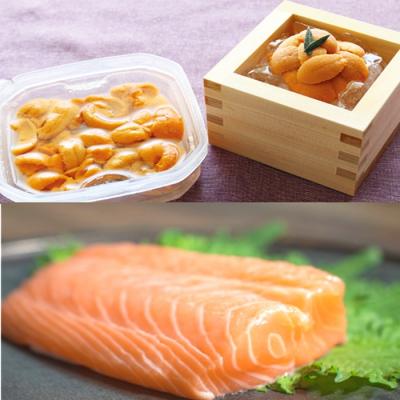 ふるさと納税 根室市 エゾバフンウニ塩水パック150g×1P、お刺身サーモン[11月下旬以降発送] E-40032