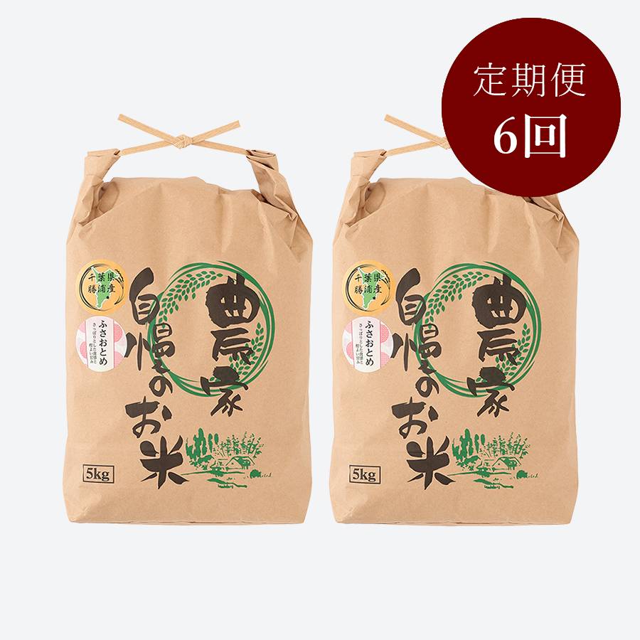 ＜いちの川＞千葉県が独自に育成した早生品種 粒が大きい ふさおとめ １０kg定期便　6カ月コース