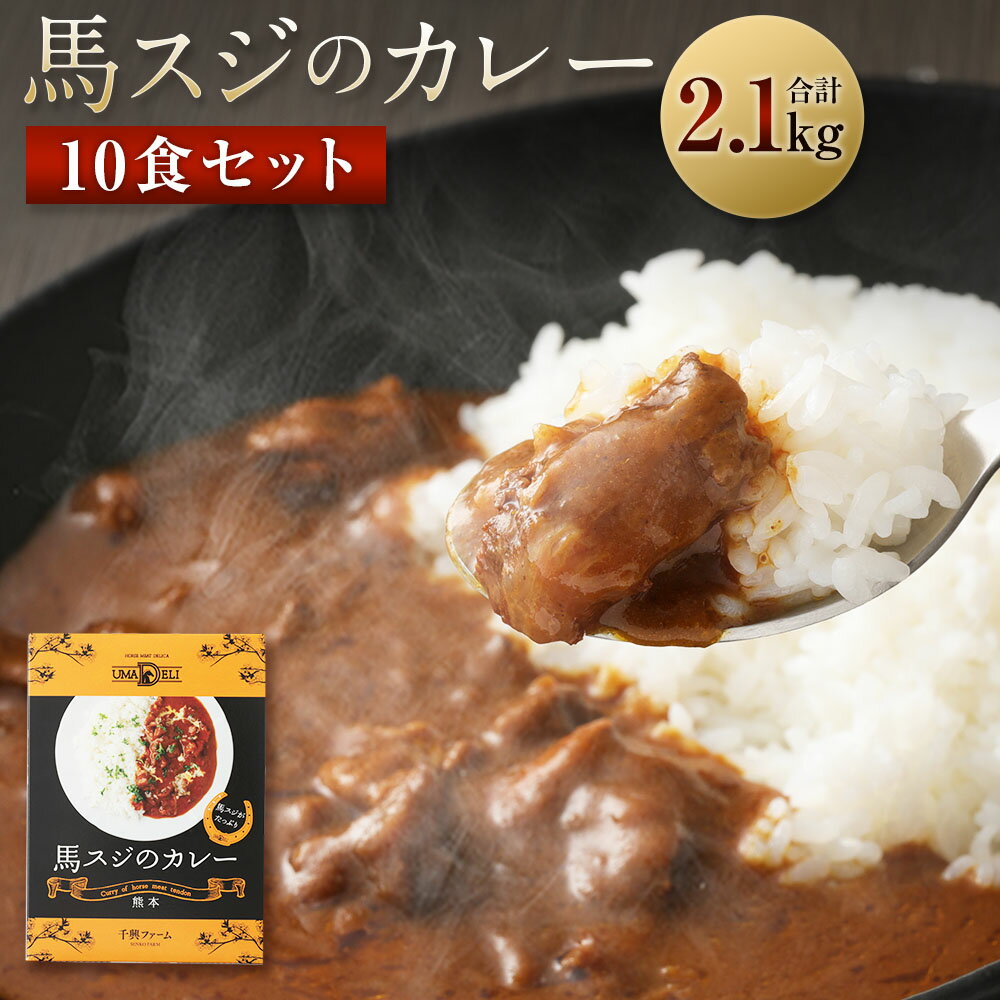 【ふるさと納税】馬スジのカレー 10食セット 合計2.1kg 210g×10個 カレー レトルト 惣菜 馬すじ 馬肉 保存食 非常食 長期保存 送料無料