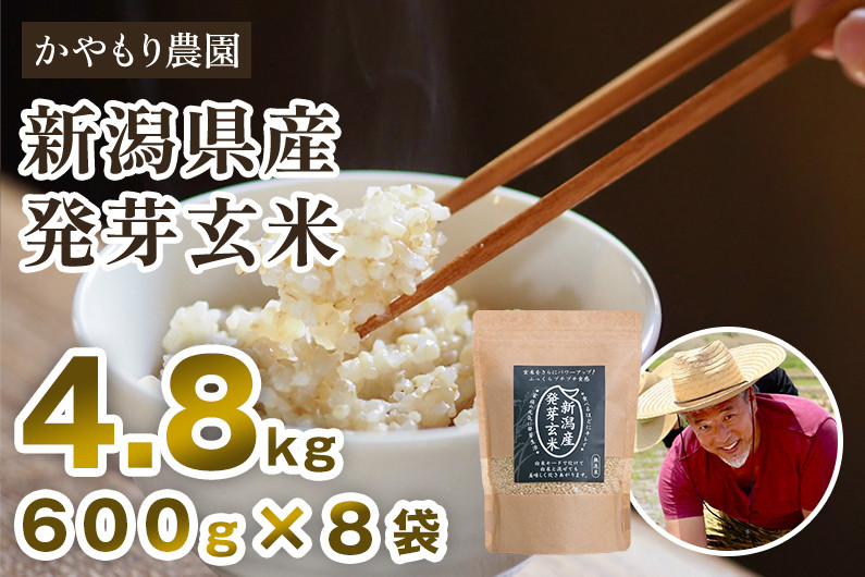 
            【令和7年産新米】[発芽玄米] 新潟産 発芽玄米4.8kg（600g×8袋）《9月下旬～順次出荷》 新潟米 新潟県産 かやもり農園
          