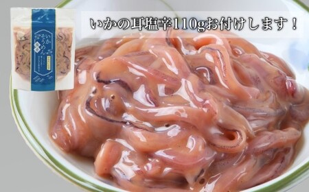 【道水】お刺身するめいか 業務用パック550g（55g×10枚入）いか耳塩辛110g付き 北海道直送 【 ふるさと納税 人気 おすすめ ランキング いか お造り お刺身 鮮度抜群 冷凍 いかそうめん 