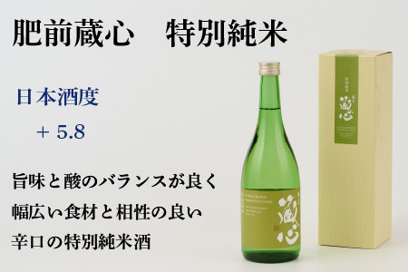TheSAGA認定酒 特別純米酒おまかせ2本 定期便3回(H072148)