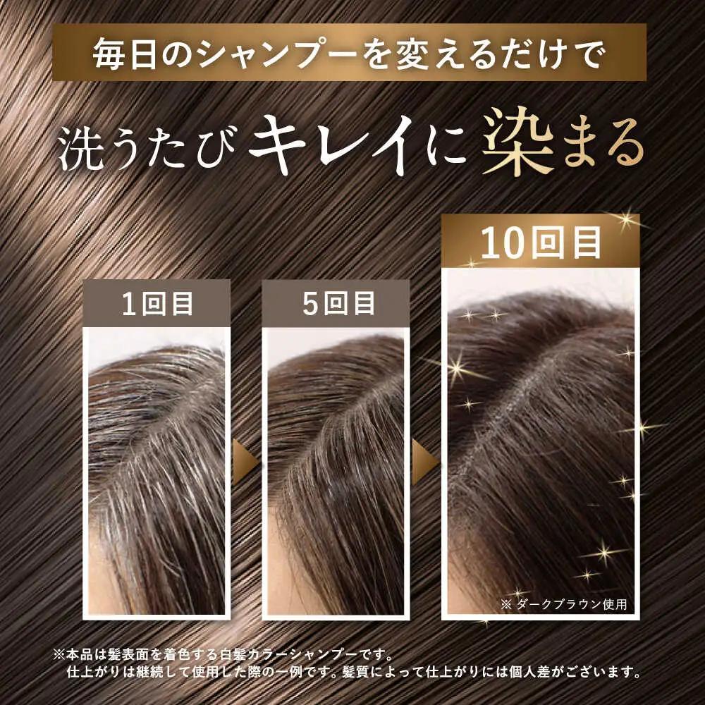 [色が選べる！10本セット]利尻カラーシャンプー＋利尻ヘアカラートリートメント 糸島市 / 株式会社ピュール [AZA039]