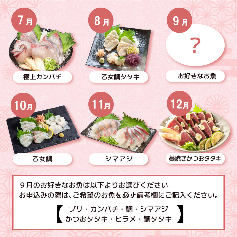 【定期便】1年間お届け！小島水産 がお届けする！美味しいお刺身定期便 12回コース 鮮魚 下処理済 頒布会 海鮮 鰤 ブリ 勘八 カンパチ 鯛 乙女鯛 真鯛 マダイ かつおのタタキ 鰹 カツオ 鰹のた