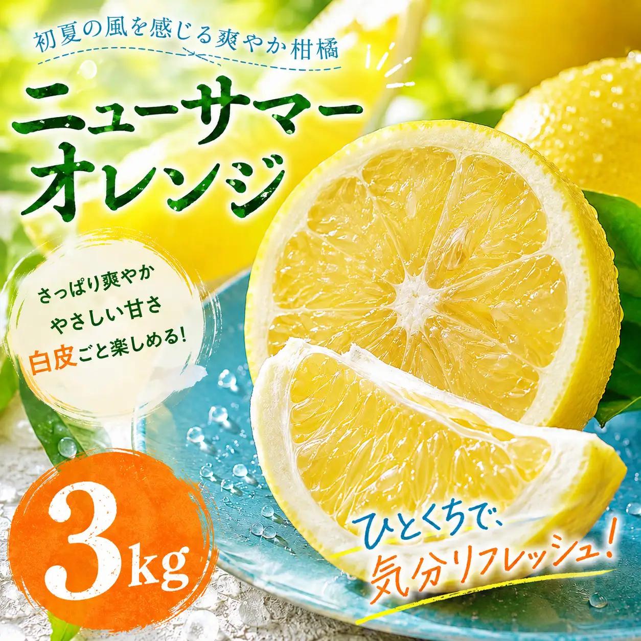 ニューサマーオレンジ 家庭用 3kg 【2027年4月中旬頃から順次発送】 | みかん ミカン mikan 蜜柑 訳ありフルーツ 柑橘 果物 おすすめ お勧め お取り寄せ ギフト 愛媛県 松山市 【MKN022】