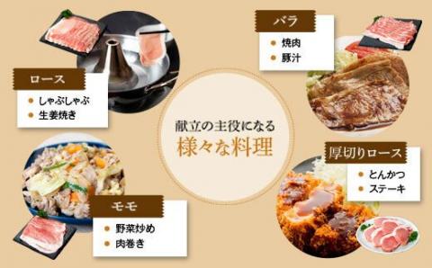 厚切り鹿児島県産豚ステーキ＆豚ローススライス贅沢セット〈約2.2㎏〉