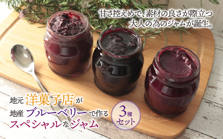 《数量限定》地元洋菓子店が地産ブルーベリーで作るスペシャルなジャム 3種セット | 垂井町 ブルーベリー ブルーベリージャム ジャム パンのお供 スプレッド 果物 ベリー 手作り 甘さ控えめ 大人の味