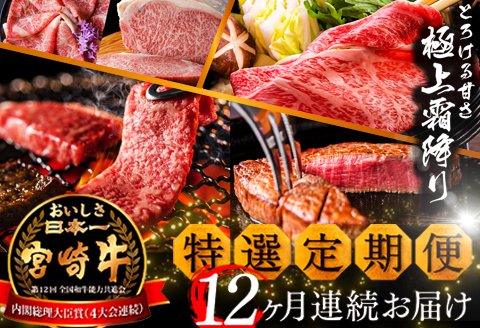 《期間・数量限定》特選!宮崎牛定期便Cコース 2024年3月からお届け! 全12回