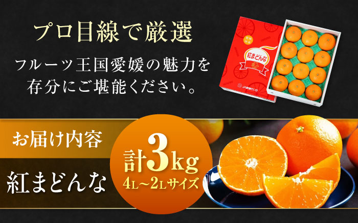  紅まどんな 4L〜2L玉サイズ 約3kg（8玉〜12玉入）【先行予約】【11月下旬から順次発送】化粧箱入 果物 フルーツ みかん ミカン まどんな 愛媛県大洲市/愛媛たいき農業協同組合[AGAO00